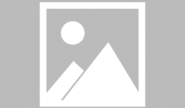 马动漫,驰骋想象，描绘梦幻世界