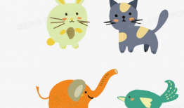 动物动漫,动物动漫的奇幻冒险之旅